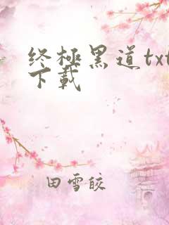 终极黑道txt下载