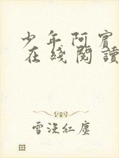 少 年 阿 宾 在 线 阅 读