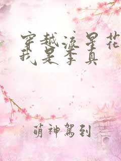 穿越流星花园之我是李真