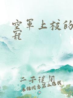 空军上校的邪魅宠