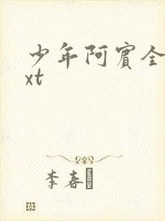 少年阿宾全集txt