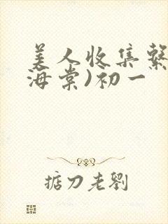 美人收集系统(海棠)初一