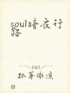 soul暗夜行路