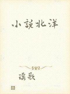 小说北洋