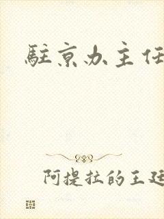 驻京办主任对手