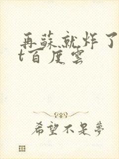 再苏就炸了txt百度云