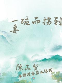 一碗面拐到美艳妻