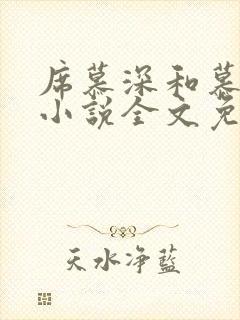 席慕深和慕清泠小说全文免费阅读