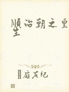 顺治朝之皇后重生