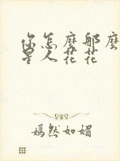 你怎么那么美汪星人花花