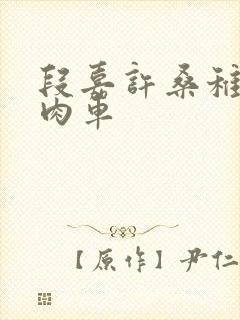 段嘉许桑稚浴室肉车