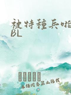 被特种兵啪到哭BL