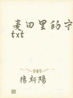 麦田里的守望者txt