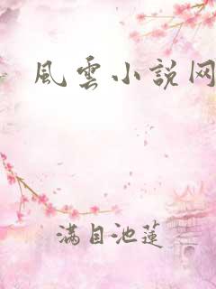 风云小说网