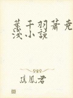 叶千羽萧尧白清浅小说