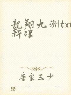 龙翔九洲txt新浪