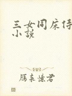 三女同床侍一夫小说