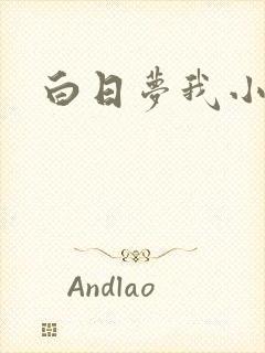白日梦我小说