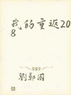 我的重返2008