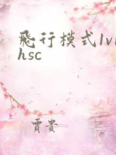 飞行模式1v1hsc