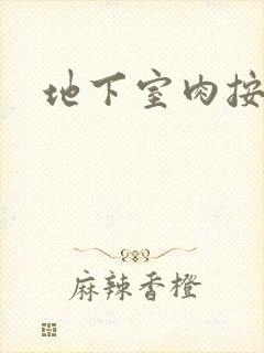 地下室肉按摩椅