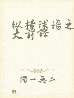 纵横球场之暴力大前锋