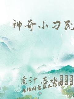 神奇小刁民