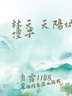 林天 天阳城 傻子