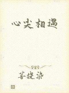 心尖相遇