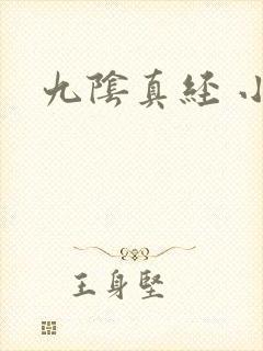 九阴真经 小说