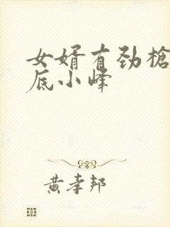 女婿有劲枪枪到底小峰