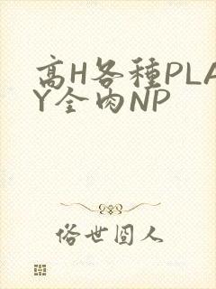 高H各种PLAY全肉NP