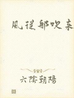 风从那吹来小说
