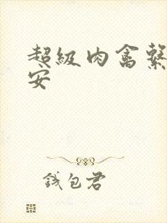 超级肉禽系统保安