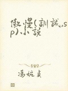 傲慢(训诫,sp)小说