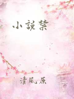 小说禁