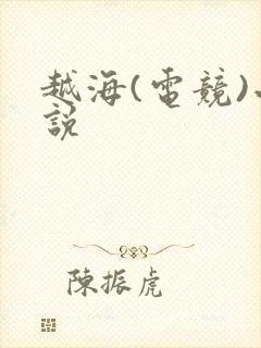 越海(电竞)小说