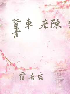 货车 老陈 李青