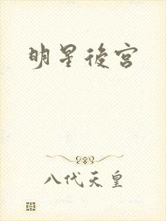 明星后宫