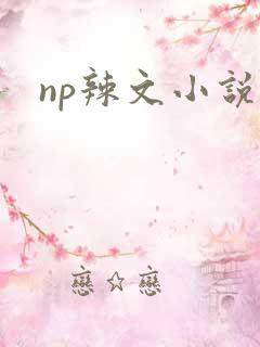 np辣文小说