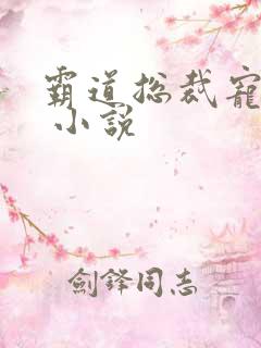 霸道总裁宠上天 小说