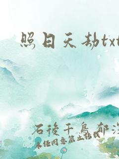 照日天劫txt