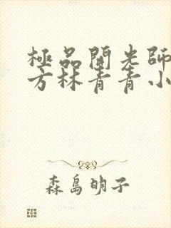 极品开光师李南方林青青小说免费阅读