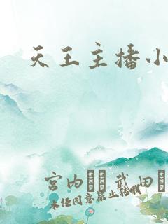 天王主播小说