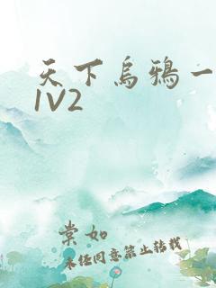 天下乌鸦一般黑1V2