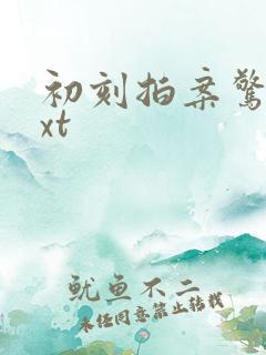 初刻拍案惊奇txt