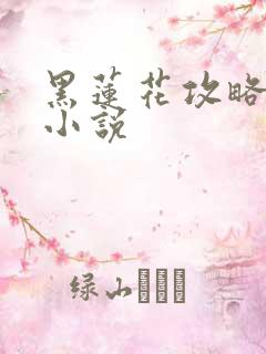 黑莲花攻略手册小说