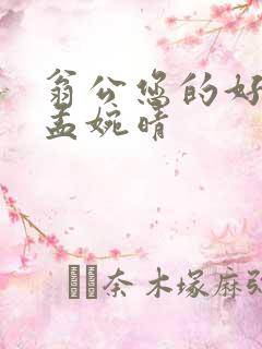 翁公您的好长呀孟婉晴