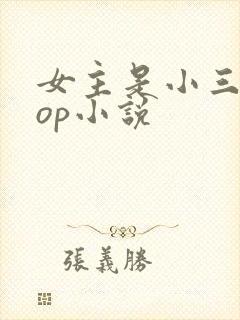 女主是小三的pop小说