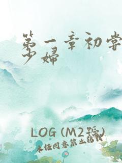 第一章初尝极品少妇